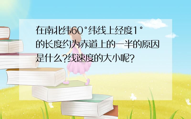 在南北纬60°纬线上经度1°的长度约为赤道上的一半的原因是什么?线速度的大小呢?