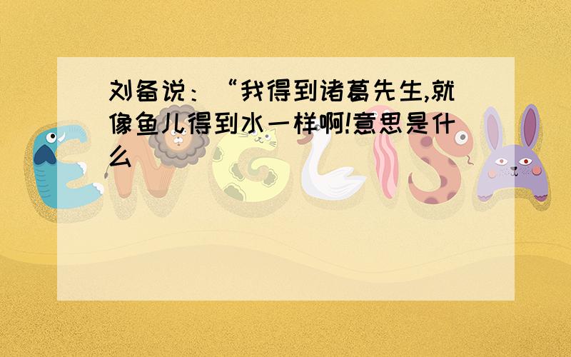 刘备说：“我得到诸葛先生,就像鱼儿得到水一样啊!意思是什么