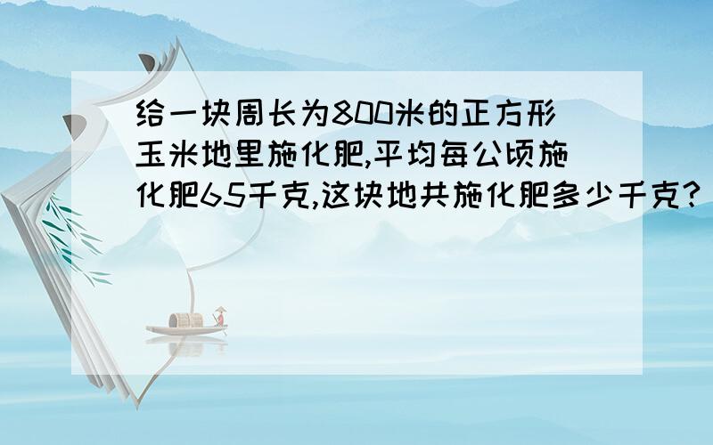 给一块周长为800米的正方形玉米地里施化肥,平均每公顷施化肥65千克,这块地共施化肥多少千克?