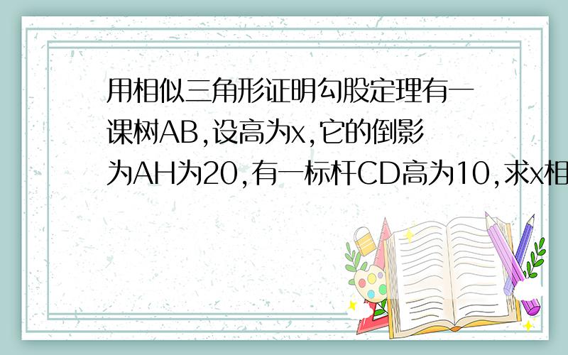 用相似三角形证明勾股定理有一课树AB,设高为x,它的倒影为AH为20,有一标杆CD高为10,求x相似我已经证明出来了 怎么求x啊,我昨天上课发烧没去,不懂啊 急死了!我不要答案我只要什么乘以什么等