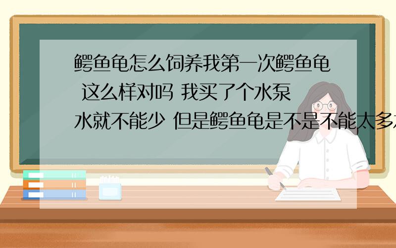 鳄鱼龟怎么饲养我第一次鳄鱼龟 这么样对吗 我买了个水泵 水就不能少 但是鳄鱼龟是不是不能太多水 但是我龟缸里有假山