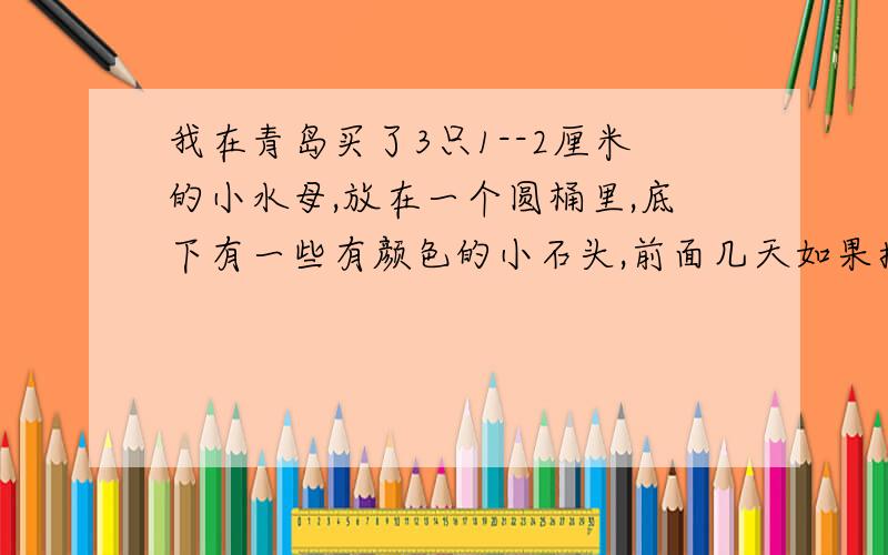 我在青岛买了3只1--2厘米的小水母,放在一个圆桶里,底下有一些有颜色的小石头,前面几天如果换了水,水母会不会死,一般买来多少天换水比较合适