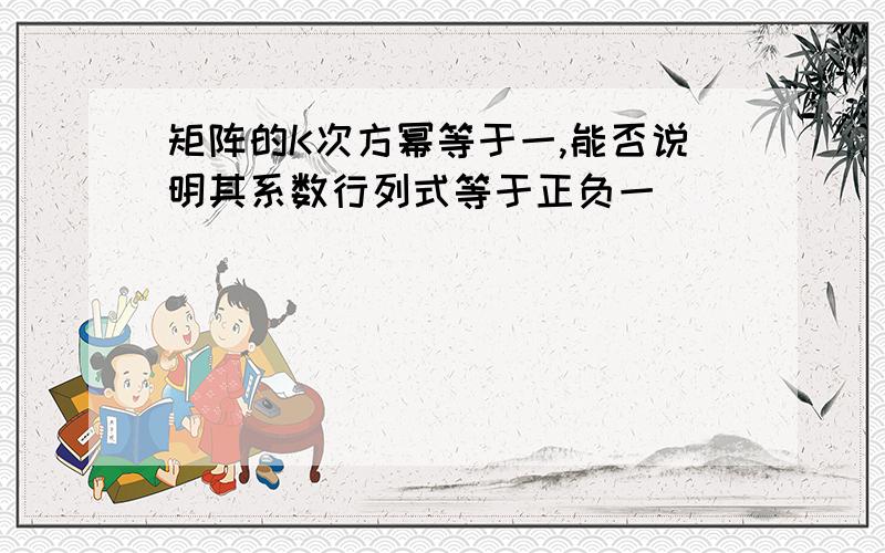 矩阵的K次方幂等于一,能否说明其系数行列式等于正负一