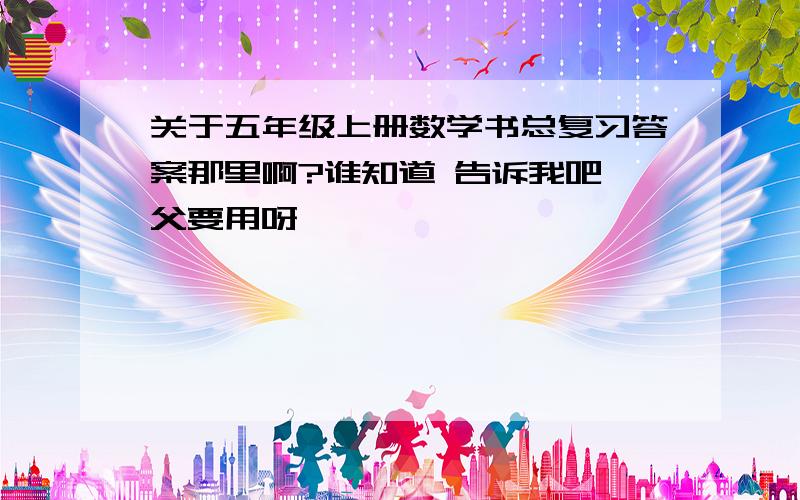 关于五年级上册数学书总复习答案那里啊?谁知道 告诉我吧,父要用呀,