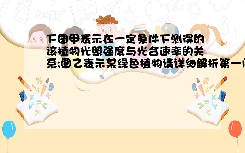 下图甲表示在一定条件下测得的该植物光照强度与光合速率的关系;图乙表示某绿色植物请详细解析第一问的第一个空,第三问的第二个空,第四问.请尽可能地附上解题过程,第一问的第一个空