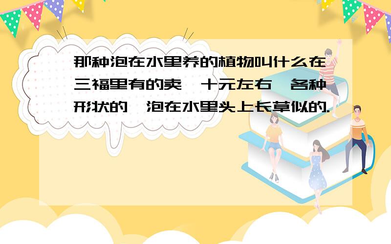 那种泡在水里养的植物叫什么在三福里有的卖,十元左右,各种形状的,泡在水里头上长草似的.