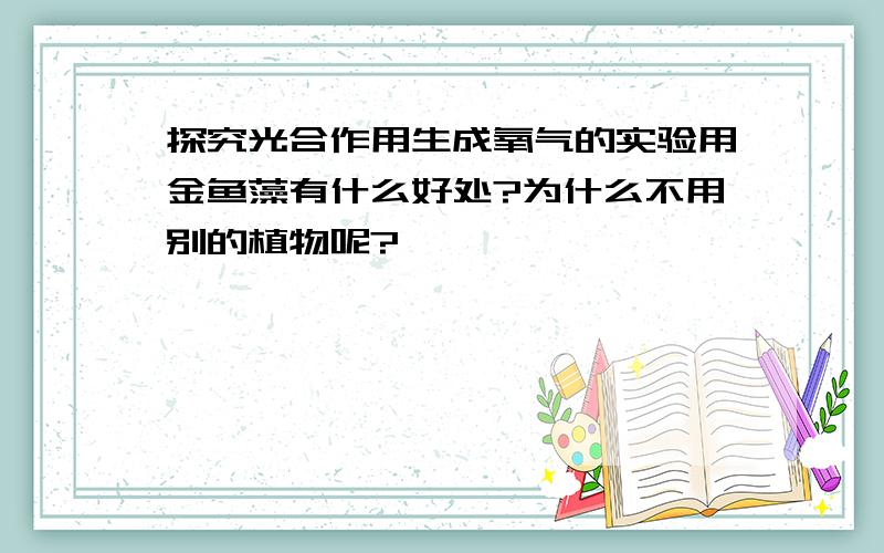 探究光合作用生成氧气的实验用金鱼藻有什么好处?为什么不用别的植物呢?