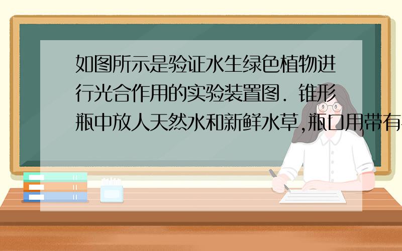 如图所示是验证水生绿色植物进行光合作用的实验装置图．锥形瓶中放人天然水和新鲜水草,瓶口用带有导管的橡皮塞塞紧.一段时间后,U形管左侧管内液面的高度变化但根据化学式6CO2+6H2O==C6H1