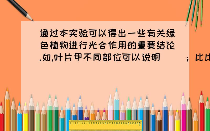 通过本实验可以得出一些有关绿色植物进行光合作用的重要结论.如,叶片甲不同部位可以说明（ ）；比比较叶片乙和丙，说明（