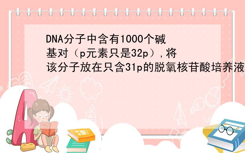 DNA分子中含有1000个碱基对（p元素只是32p）,将该分子放在只含31p的脱氧核苷酸培养液复制2次子代DNA分子的相对分子质量平均比原DNA少多少?