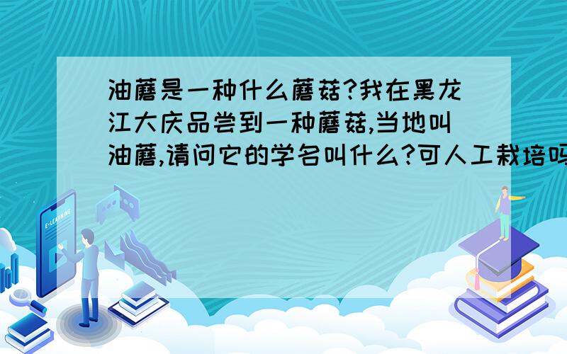 油蘑是一种什么蘑菇?我在黑龙江大庆品尝到一种蘑菇,当地叫油蘑,请问它的学名叫什么?可人工栽培吗?生长在杨树林里，树叶子下面。做成菜后是黑色的，滑嫩