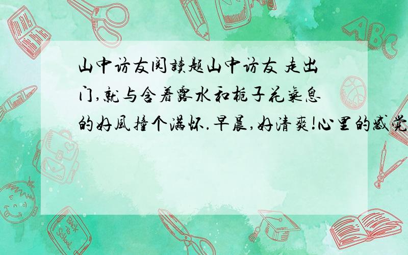 山中访友阅读题山中访友 走出门,就与含着露水和栀子花气息的好风撞个满怀.早晨,好清爽!心里的感觉好清爽!不骑车,不邀游伴,也不带什么礼物,就带着满怀的好心情,哼几段小曲,踏一条幽径,