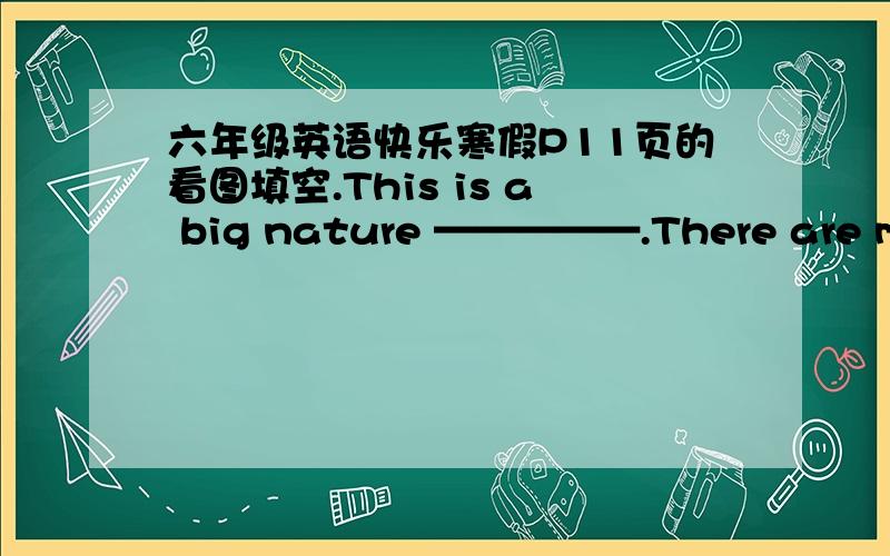 六年级英语快乐寒假P11页的看图填空.This is a big nature —————.There are many animal in it.The two lion are running.The tigers ———— sleeping.What about the baby ————?Oh,she is ------ ------- near the river.Can y