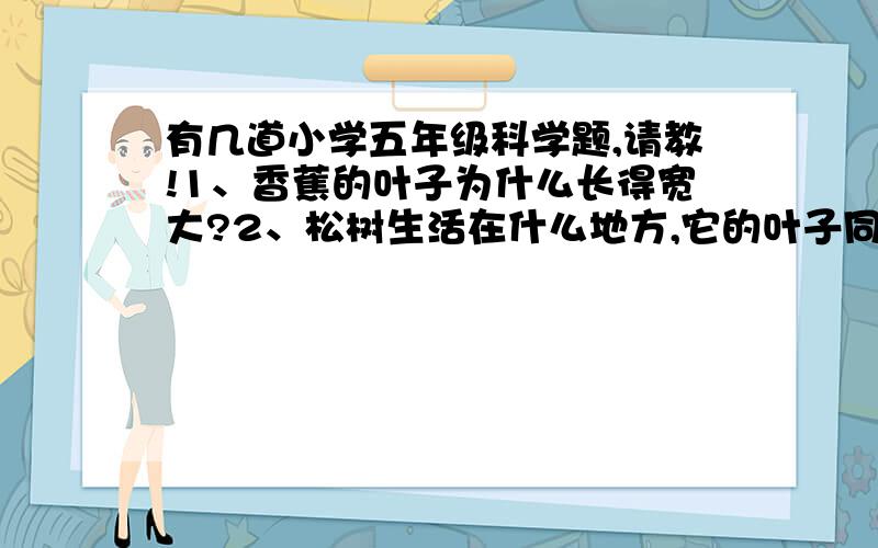 有几道小学五年级科学题,请教!1、香蕉的叶子为什么长得宽大?2、松树生活在什么地方,它的叶子同它生存的环境有什么关系?3、蚯蚓喜欢生活在什么环境里?4、在光的照射下,物体有了影子.影