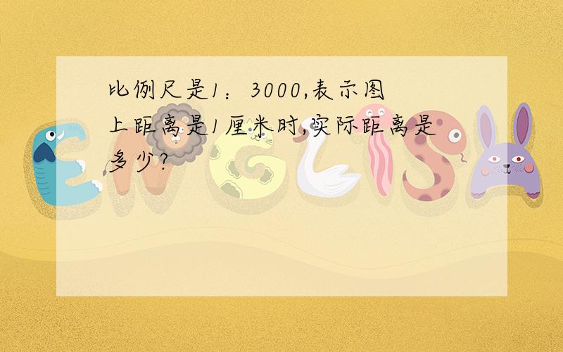 比例尺是1：3000,表示图上距离是1厘米时,实际距离是多少?