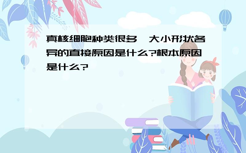 真核细胞种类很多,大小形状各异的直接原因是什么?根本原因是什么?