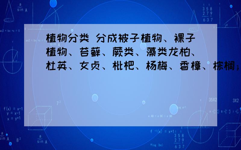 植物分类 分成被子植物、裸子植物、苔藓、蕨类、藻类龙柏、杜英、女贞、枇杷、杨梅、香樟、棕榈；落叶乔木合欢、枫杨、枫香、苦楝、白玉兰、鹅掌楸、梨、梅、构树、金钱松、无患子