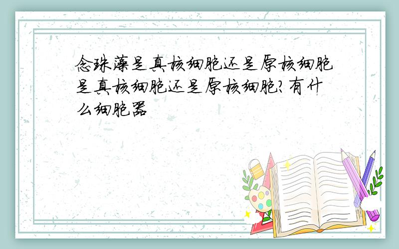 念珠藻是真核细胞还是原核细胞是真核细胞还是原核细胞?有什么细胞器