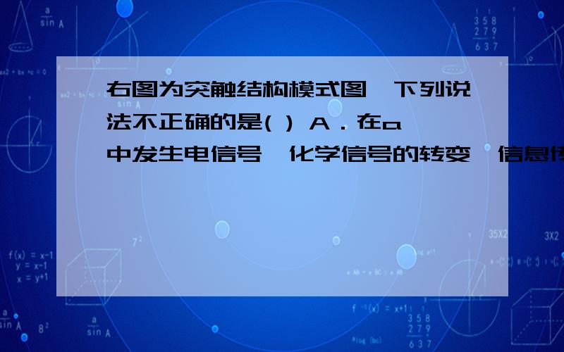 右图为突触结构模式图,下列说法不正确的是( ) A．在a中发生电信号→化学信号的转变,信息传递需要能量B．①中内容物释放至②中主要借助于突触前膜的主动运输C．②处的液体为组织液,传