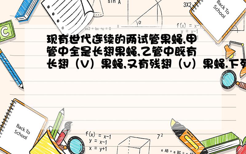 现有世代连续的两试管果蝇,甲管中全是长翅果蝇,乙管中既有长翅（V）果蝇,又有残翅（v）果蝇.下列哪一组合为鉴定两试管果蝇世代关系的最佳组合A.甲试管中长翅果蝇自交繁殖B.乙试管中长