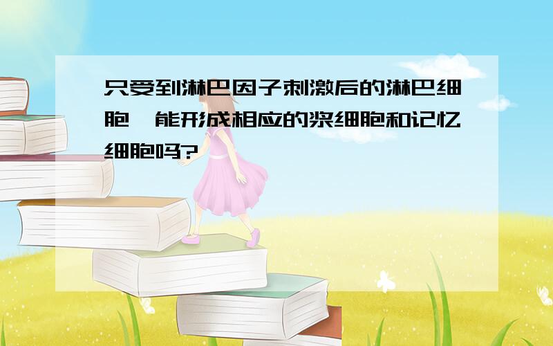 只受到淋巴因子刺激后的淋巴细胞,能形成相应的浆细胞和记忆细胞吗?