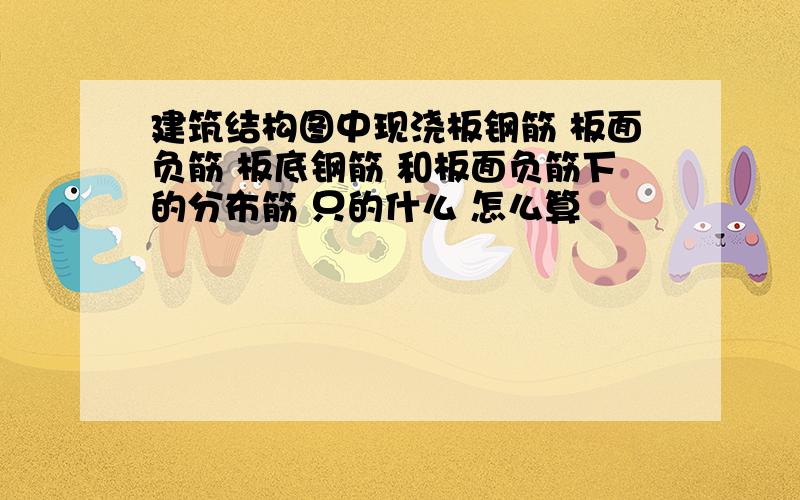 建筑结构图中现浇板钢筋 板面负筋 板底钢筋 和板面负筋下的分布筋 只的什么 怎么算