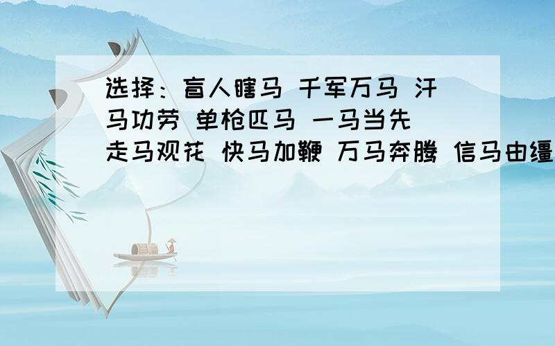 选择：盲人瞎马 千军万马 汗马功劳 单枪匹马 一马当先 走马观花 快马加鞭 万马奔腾 信马由缰 一马平川地势平坦【 】粗略地看【 】声势浩大【 】立了功劳【 】快上加快【 】单独行动【