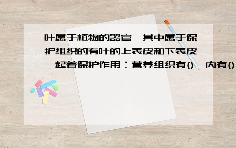 叶属于植物的器官,其中属于保护组织的有叶的上表皮和下表皮,起着保护作用；营养组织有(),内有(),能进行()作用；在（）处有输导组织.这些不同的组织是（）的结果