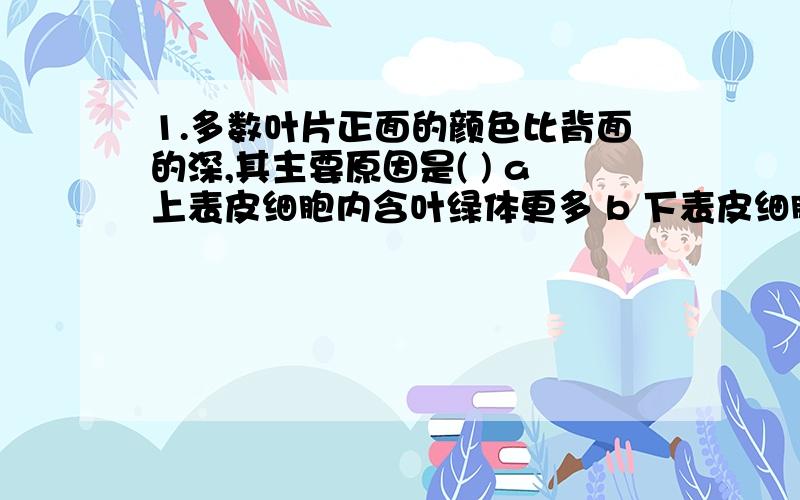 1.多数叶片正面的颜色比背面的深,其主要原因是( ) a上表皮细胞内含叶绿体更多 b 下表皮细胞含叶多 c 叶绿体是制造有机物的条件 d栅栏组织里含叶绿体多2.某树有4个大树枝,某人把期中一个