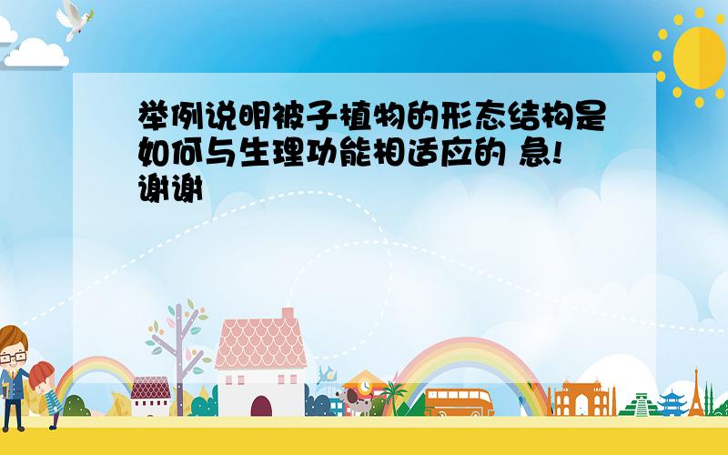 举例说明被子植物的形态结构是如何与生理功能相适应的 急!谢谢