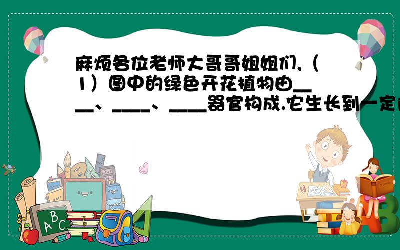 麻烦各位老师大哥哥姐姐们,（1）图中的绿色开花植物由____、____、____器官构成.它生长到一定阶段才能长出____、____、____器官.（2）A、B、C分别属于什么组织?A：营养组织；B：输导组织；C：_