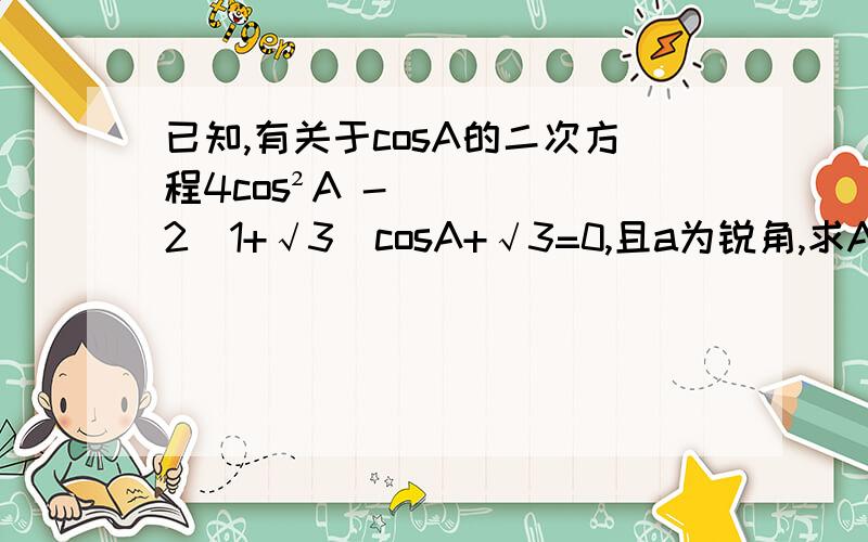 已知,有关于cosA的二次方程4cos²A -2(1+√3)cosA+√3=0,且a为锐角,求A的度数