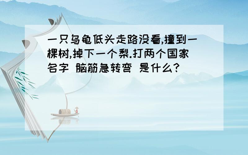 一只乌龟低头走路没看,撞到一棵树,掉下一个梨.打两个国家名字 脑筋急转弯 是什么?