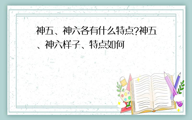 神五、神六各有什么特点?神五、神六样子、特点如何