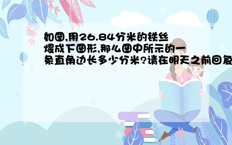 如图,用26.84分米的铁丝煨成下图形,那么图中所示的一条直角边长多少分米?请在明天之前回复,