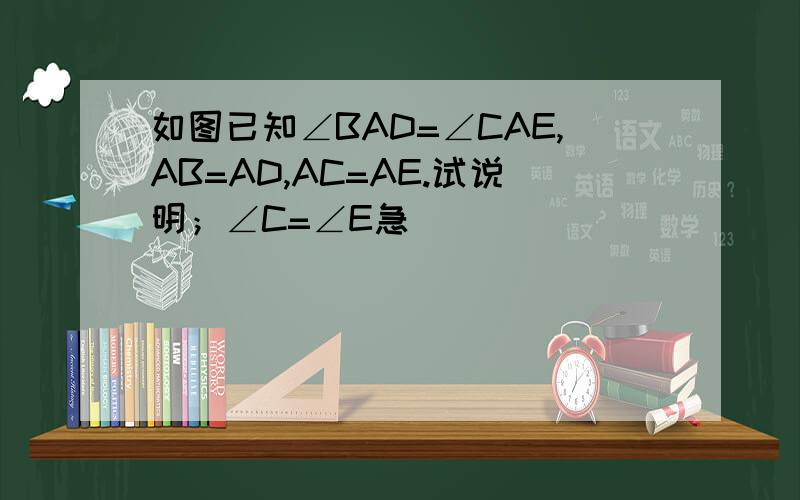 如图已知∠BAD=∠CAE,AB=AD,AC=AE.试说明；∠C=∠E急