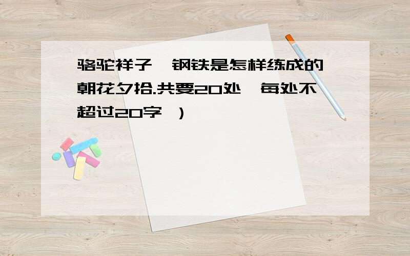 骆驼祥子,钢铁是怎样练成的,朝花夕拾.共要20处,每处不超过20字 ）