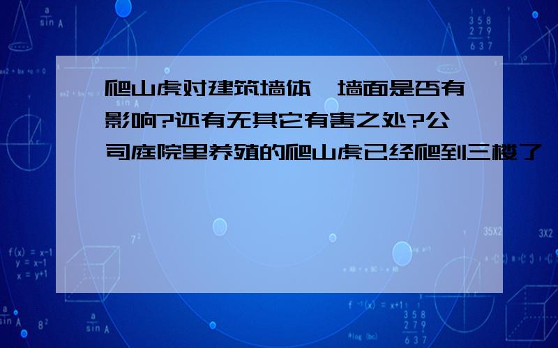 爬山虎对建筑墙体、墙面是否有影响?还有无其它有害之处?公司庭院里养殖的爬山虎已经爬到三楼了,今日有听说爬上虎会吸收墙体养分而损坏墙体.而最初种植的原义是因爬山虎会遮阴,且可