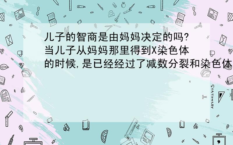 儿子的智商是由妈妈决定的吗?当儿子从妈妈那里得到X染色体的时候,是已经经过了减数分裂和染色体重组的结果,是混合了来自他外公外婆的X染色体的结果.而他的妈妈编译大脑的时候用的X染