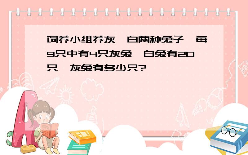 饲养小组养灰,白两种兔子,每9只中有4只灰兔,白兔有20只,灰兔有多少只?