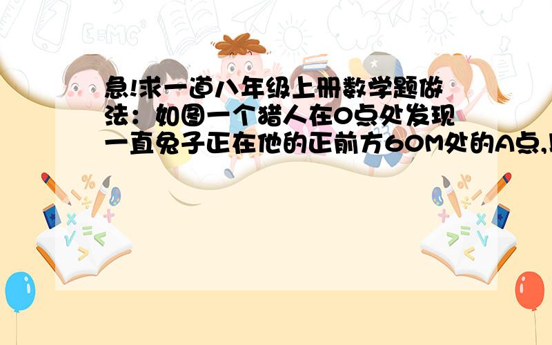 急!求一道八年级上册数学题做法：如图一个猎人在0点处发现一直兔子正在他的正前方60M处的A点,以10M/s的速度沿直线向B点奔跑,已知猎枪子弹飞行速度为610M/s,请问：若猎人向野兔正前方11m处