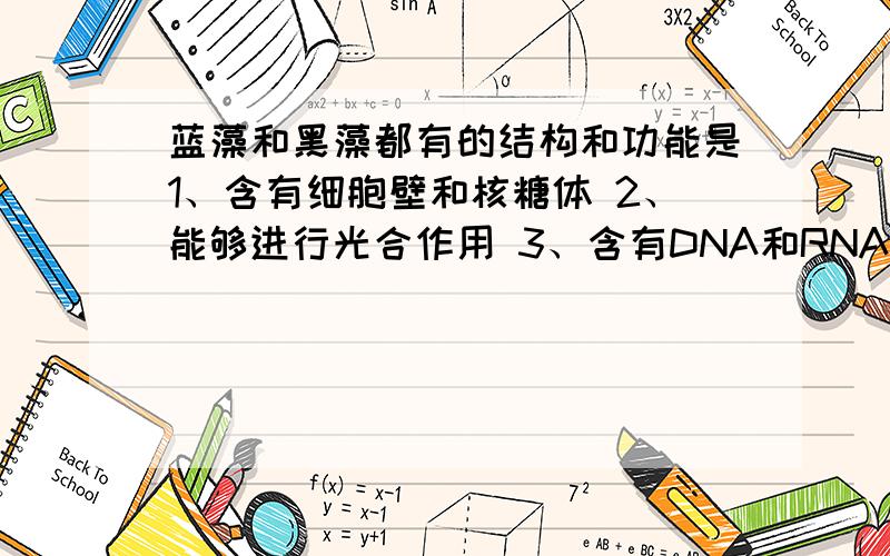 蓝藻和黑藻都有的结构和功能是1、含有细胞壁和核糖体 2、能够进行光合作用 3、含有DNA和RNA 4、都含有叶绿体A、2、3、4 B、1、2、3 C、1、2、4 D、1、3、4