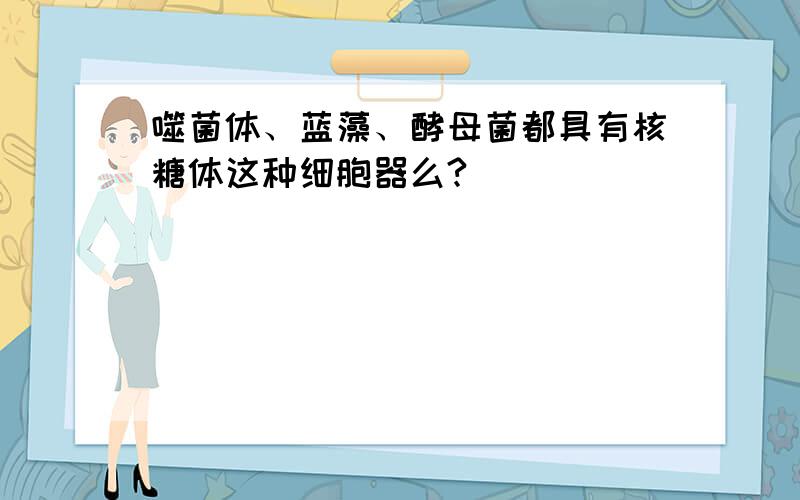 噬菌体、蓝藻、酵母菌都具有核糖体这种细胞器么?