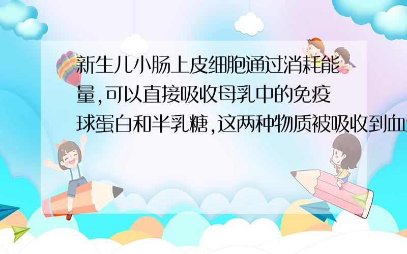 新生儿小肠上皮细胞通过消耗能量,可以直接吸收母乳中的免疫球蛋白和半乳糖,这两种物质被吸收到血液中的方式是A 主动运输主动运输B胞吞主动运输C 主动运输胞吞D主动运输被动运输