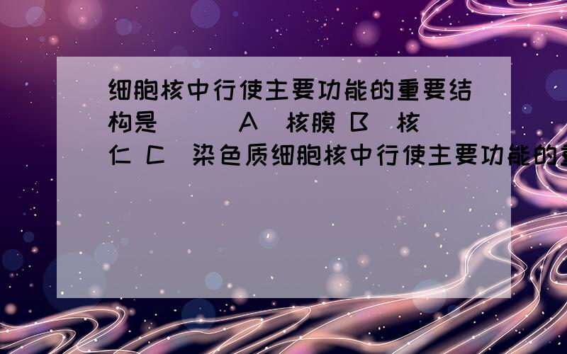 细胞核中行使主要功能的重要结构是 ( )A．核膜 B．核仁 C．染色质细胞核中行使主要功能的重要结构是 ( )A．核膜 B．核仁 C．染色质 D．核孔 （选C为什么）