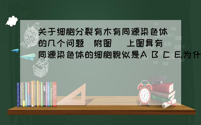 关于细胞分裂有木有同源染色体的几个问题（附图） 上图具有同源染色体的细胞貌似是A B C E,为什么A有同源染色体而D木有 求解这种题目怎么看的