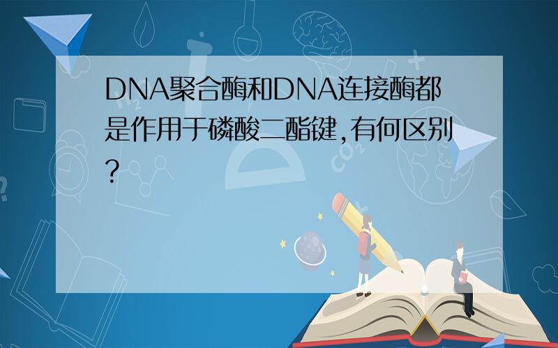 DNA聚合酶和DNA连接酶都是作用于磷酸二酯键,有何区别?