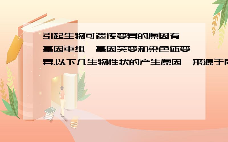 引起生物可遗传变异的原因有,基因重组、基因突变和染色体变异.以下几生物性状的产生原因,来源于同一组①果蝇的白眼；②豌豆的黄色皱粒、绿色圆粒；③杂交获得番茄-马铃薯；④人类的