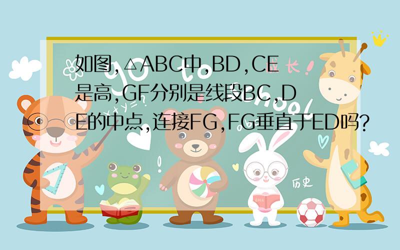 如图,△ABC中,BD,CE是高,GF分别是线段BC,DE的中点,连接FG,FG垂直于ED吗?