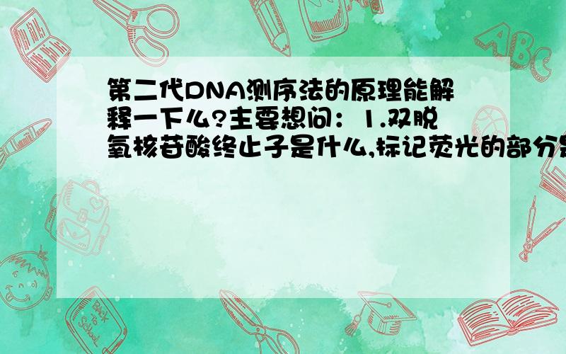 第二代DNA测序法的原理能解释一下么?主要想问：1.双脱氧核苷酸终止子是什么,标记荧光的部分是片段尾部?2.如何利用荧光测序峰进行碱基统计排序?（刚接触DNA测序法,很多东西都不懂,希望解